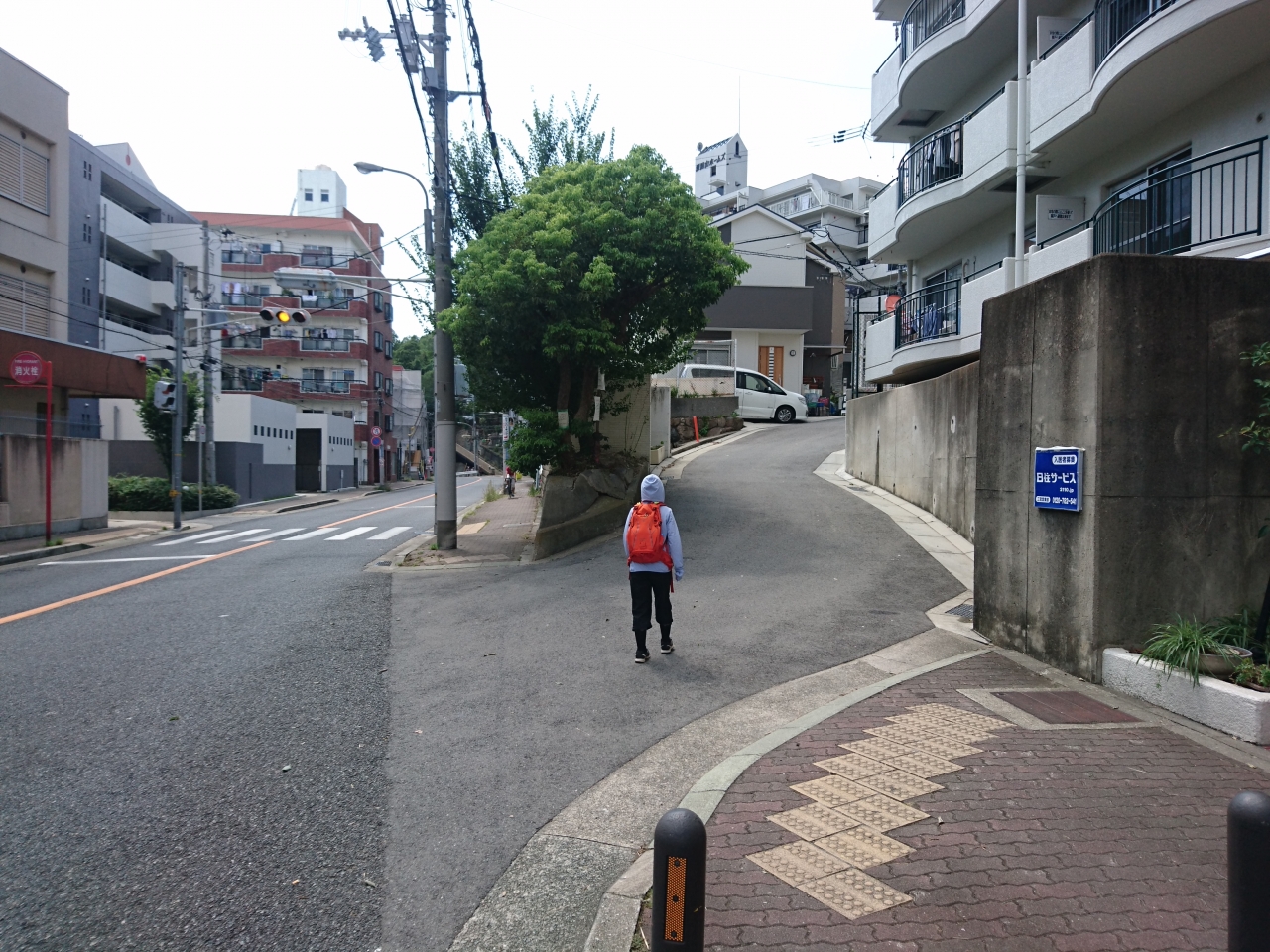 大師道から再度公園修法ヶ原池へ 道中は虫まみれ Hills Behind Kobe