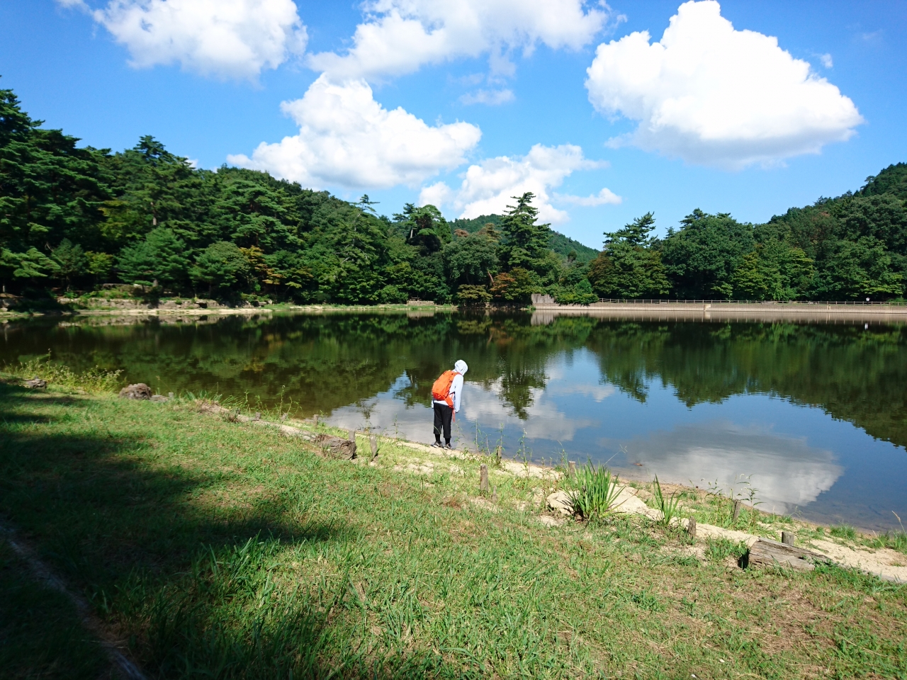 大師道から再度公園修法ヶ原池へ 道中は虫まみれ Hills Behind Kobe