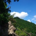 行者尾根を登って摩耶山の南西面を見る。